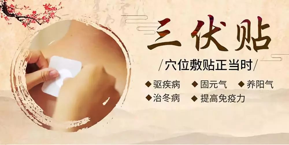 關(guān)于三伏貼，你了解多少呢？