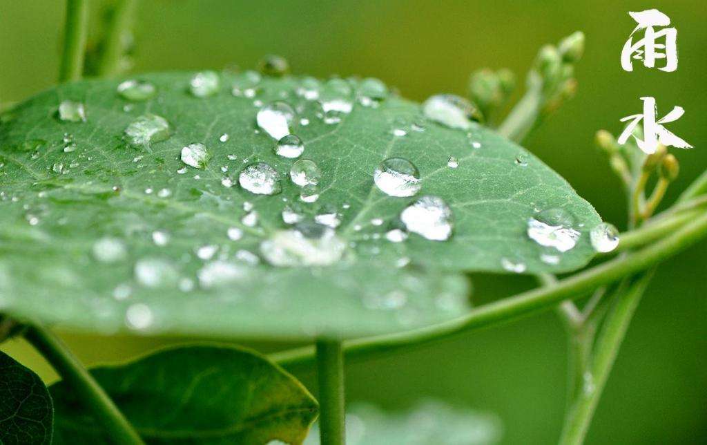 雨水！